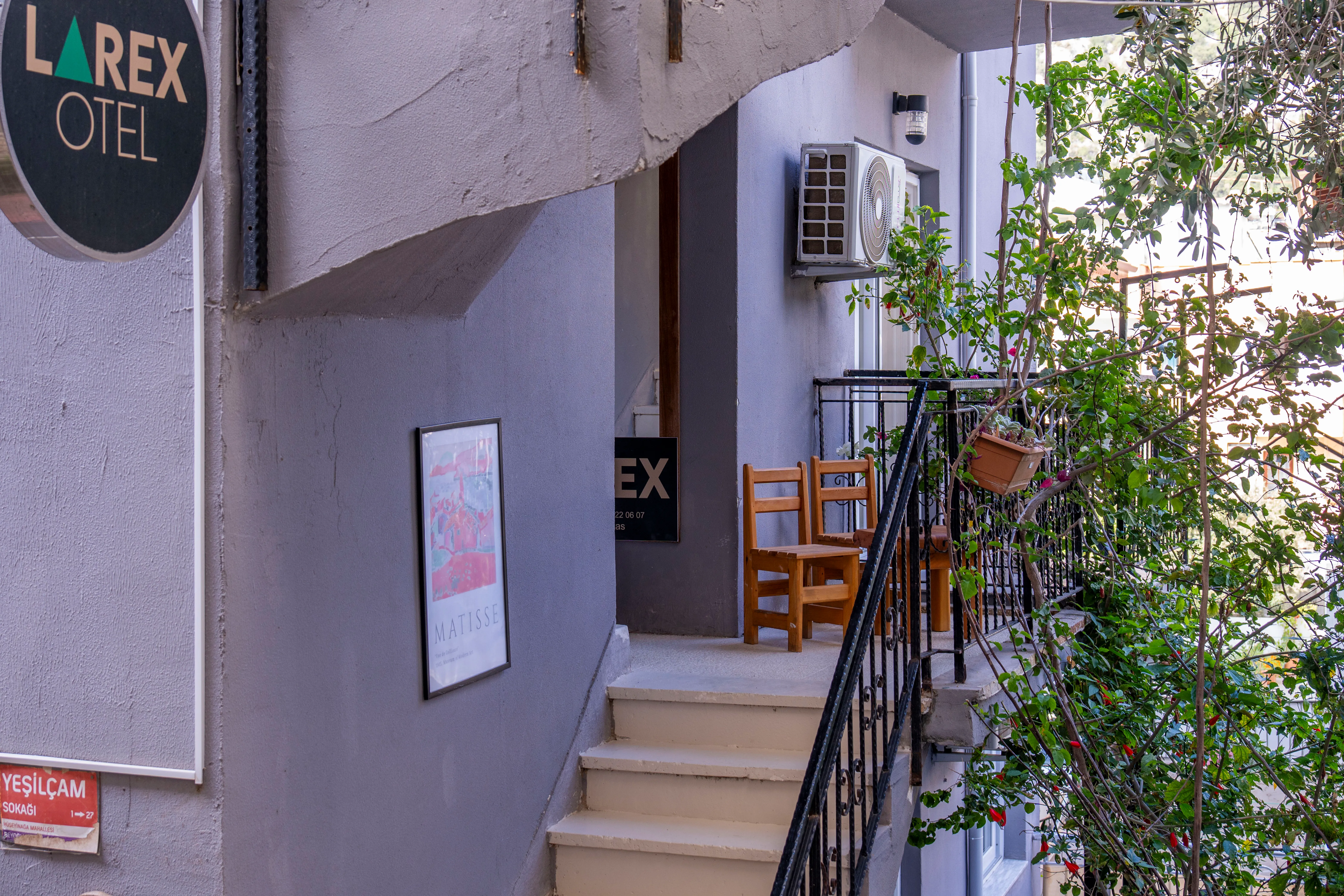 Charming entrance of Larex Pansiyon with Mediterranean plants